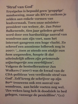 Jan Wolkers Erysipelas